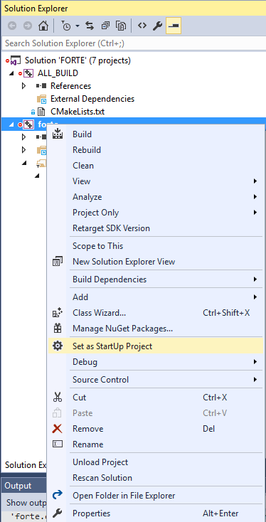 Set 4diac FORTE as main project in Visual Studio